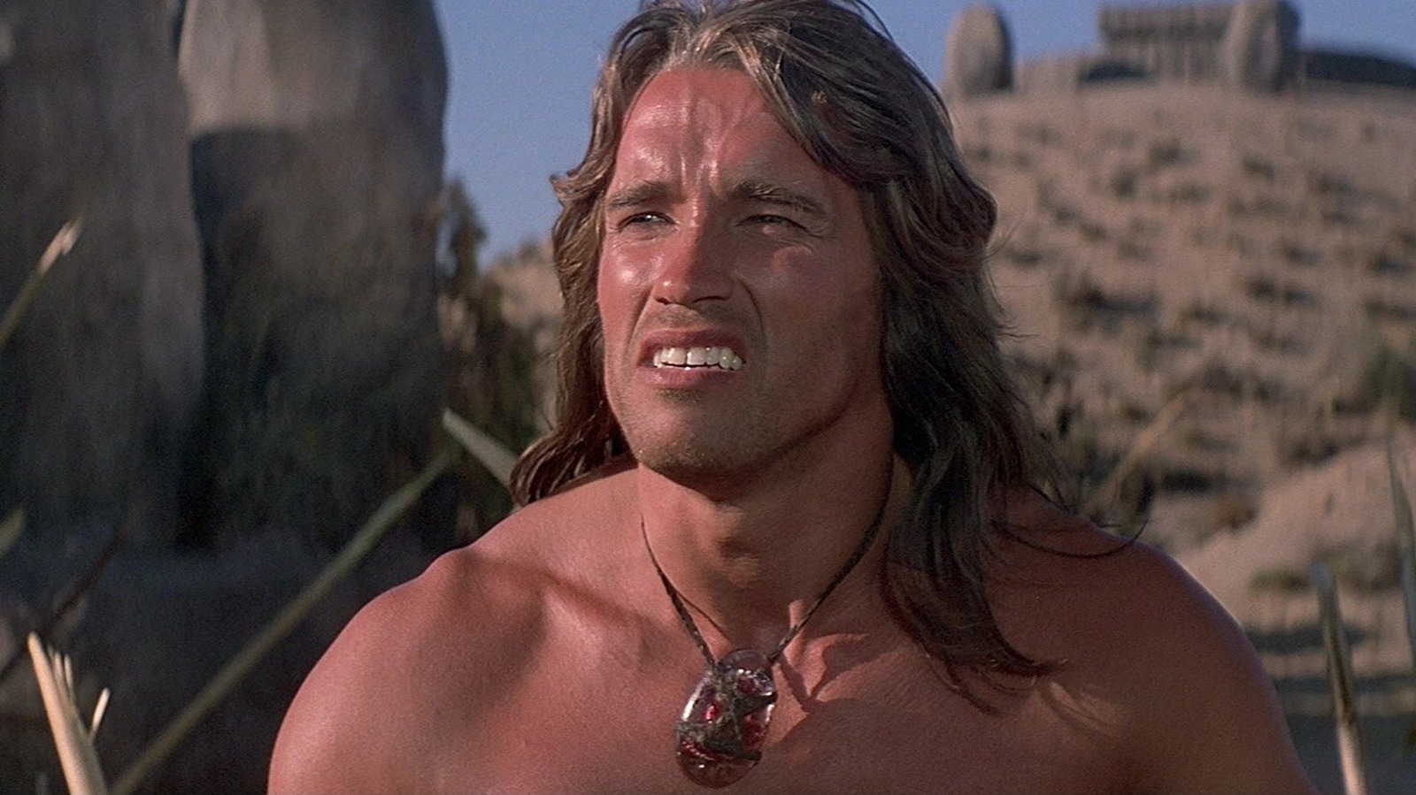 Arnold Schwarzenegger casi protagonizó una ambiciosa película de piratas [Exclusive]