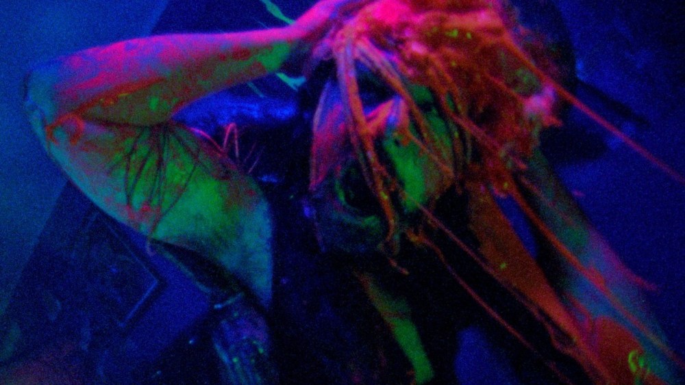 El spin-off argentino de la película de terror alienígena 'Jimmy and Stiggs' está listo para volar