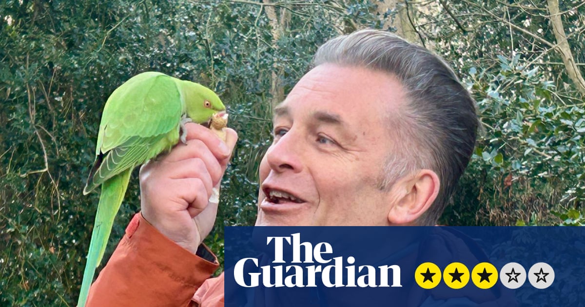 Revisión de La invasión de los periquitos: ¿realmente estamos librando ahora una guerra de clases con las aves? | Televisión